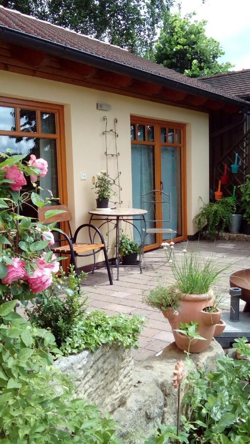 Apartment Mit Gartenblick Eckersdorf Экстерьер фото