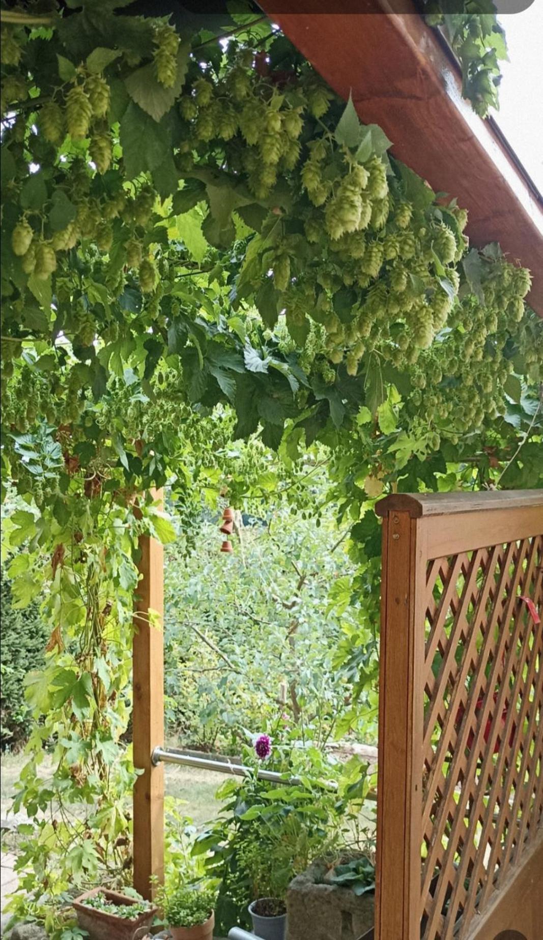 Apartment Mit Gartenblick Eckersdorf Экстерьер фото